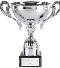 Norway Silver Presentation Cup