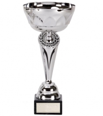 Cygnus Silver Cup