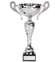 Prospect Silver Presentation Cup