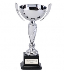 Sabre Silver Presentation Cup