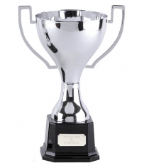 Zenith Cup in Six Sizes