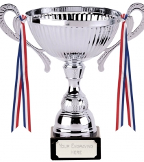 Turin Silver Cup