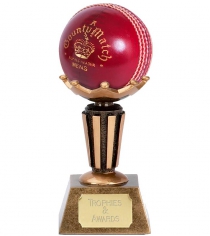 Cricket Ball Display Stand