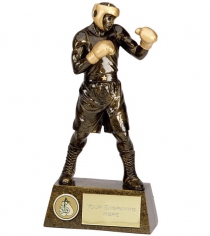 Pinnacle Boxing Trophy