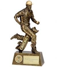 Pinnacle Fielding Cricket Trophies