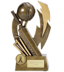 Gold Flash Cricket Trophies