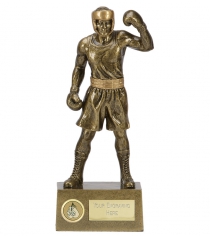 Knockout Boxing Trophy