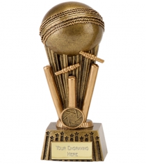Focus Cricket Trophies