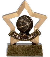 Mini Stars Basketball in 1 Size