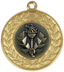 Denver 50 Medal