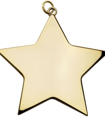 High Polished Star Achievement Medal 54mm