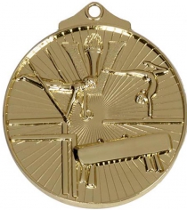 Horizon Gymnastics Medal