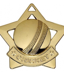 Mini Stars Cricket Medal