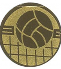 Volleyball, Foil Centre Disc in Gold