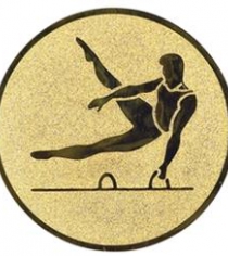 Gymnastics Metal Centre Disc in Gold, Silver & Bronze