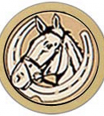 Equestrian MG145