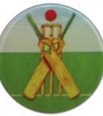 Cricket Bat & Stumps P027