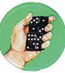 Domino Hand P047