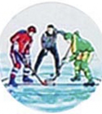 Hockey Ice Group P078