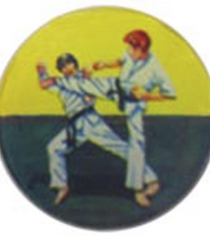 Karate P089