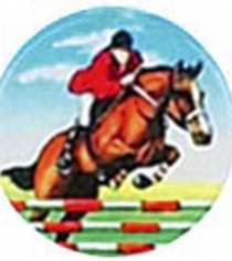 Horse Show Jumping P139