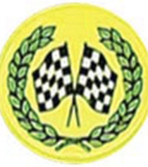 Motorsport Cross Flag P198