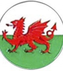 Flag Welsh Dragon P349
