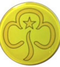 Club Guides Brownie P410