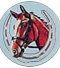 Horses Head & Horse Shoe P419