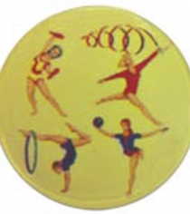 Gymnastics Multi P465