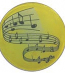 Music Notes P548
