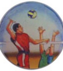 Volleyball (Male) P557
