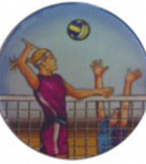 Volleyball (Female) P558