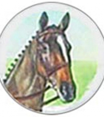 Horses Head Dark Brown P648