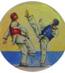Tae kwon do P868
