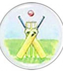 Cricket Bat & Stumps P881