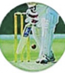 Cricket Batsman with Stumps P882
