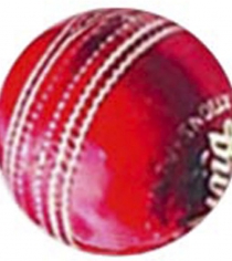 Cricket Ball P889