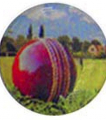 Cricket with Field P968
