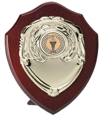 Triumph Gold Shield