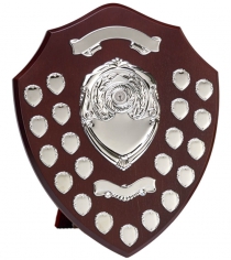 Trophies, Awards & Presentation Cups 