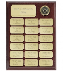Ashfield Gold Presentation Plaques