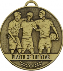 Team Spirit Player of the Year Medal