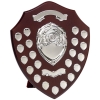 Trophies, Awards & Presentation Cups 